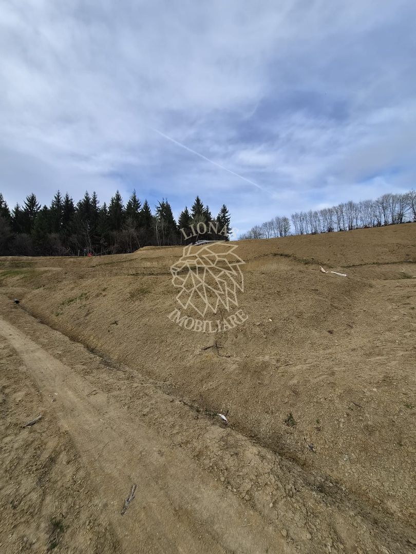Teren 500 mp- 5 minute centru- investitie, cabana in natura, Bistrita - Poză 1
