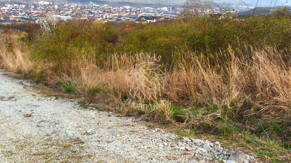 4 Parcele diferite intre 704 mp si 803 mp-ideal investitie-La Soare - Poză 2