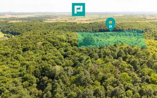 TEREN AGRICOL EXTRAVILAN  22.900 MP LIPOVA - Poză 1