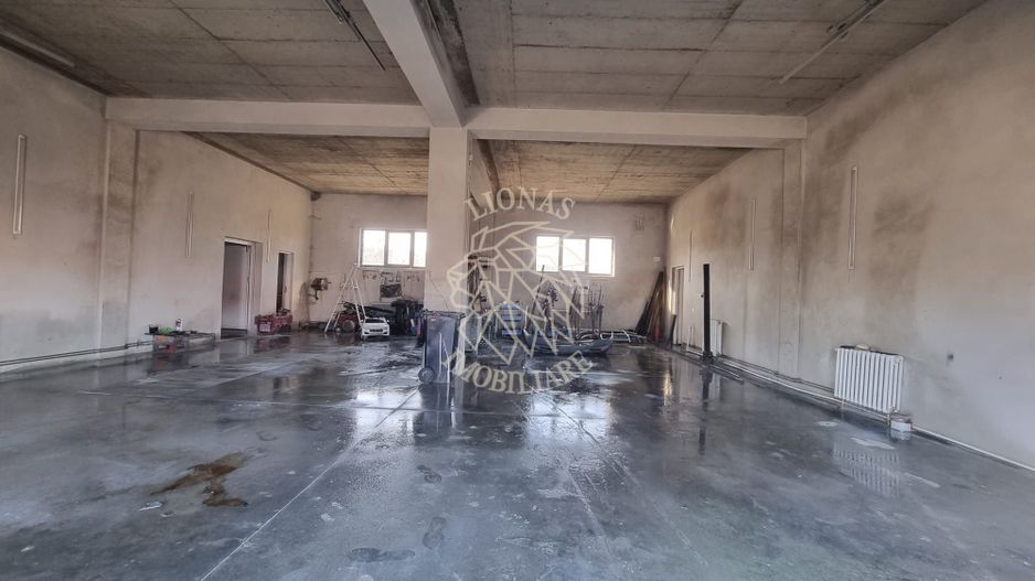 Casa de Lux 6 camere-480mp-teren 1100mp-service tinichigerie-Arcalia - Poză 8