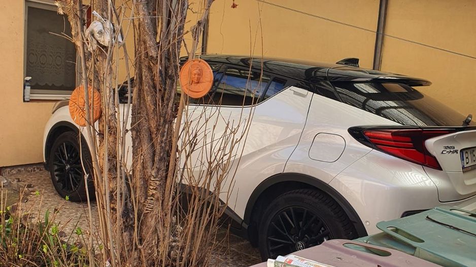 Casa de inchiriat - Domenii - Poză 9