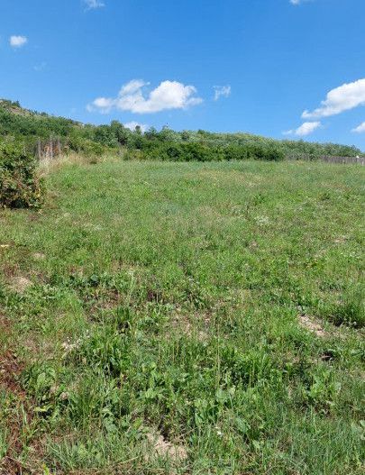 Vanzare teren 1350 mp, Stefanesti Sat - Poză 4