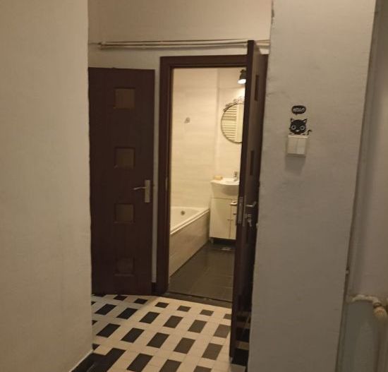 4 camere in vila | Cismigiu | terasa 10 mp + 2 boxe - Poză 11