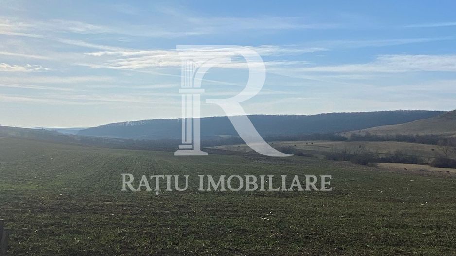Teren extravilan de vanzare 3.900mp | Mierlau | Bihor - Poză 2