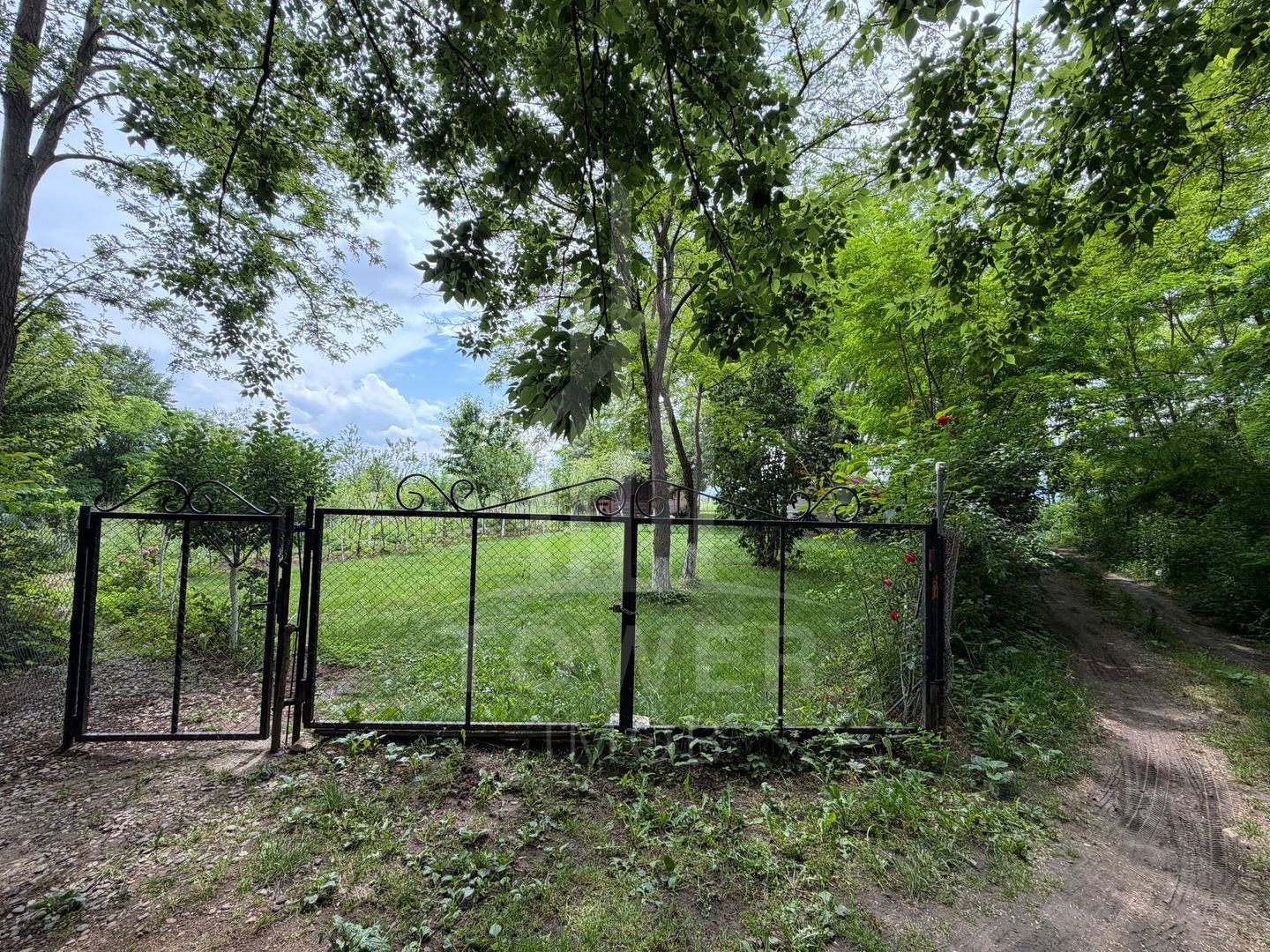 OCAZIE RARĂ - Teren cu cabană de vânzare lângă Lacurile Naturale - Ocna Sibiului - Poză 6