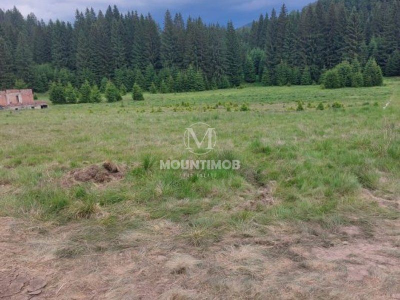 Teren intravilan în Poiana Brașov, 0% COMISION - Poză 6