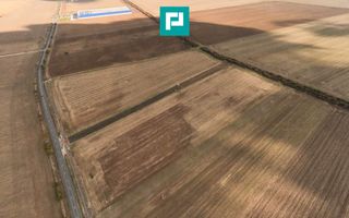Teren 15.000 mp, Zădăreni, zona Lagermax - Poză 3