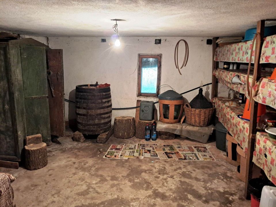CASĂ SI TEREN BAIA DE FIER - Poză 13