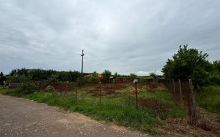 Teren Intravilan Padurea Noroieni - Poză 5