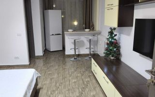 Ggarsoniera complet mobilata si utilatain Brazda lui Novac - Poză 1