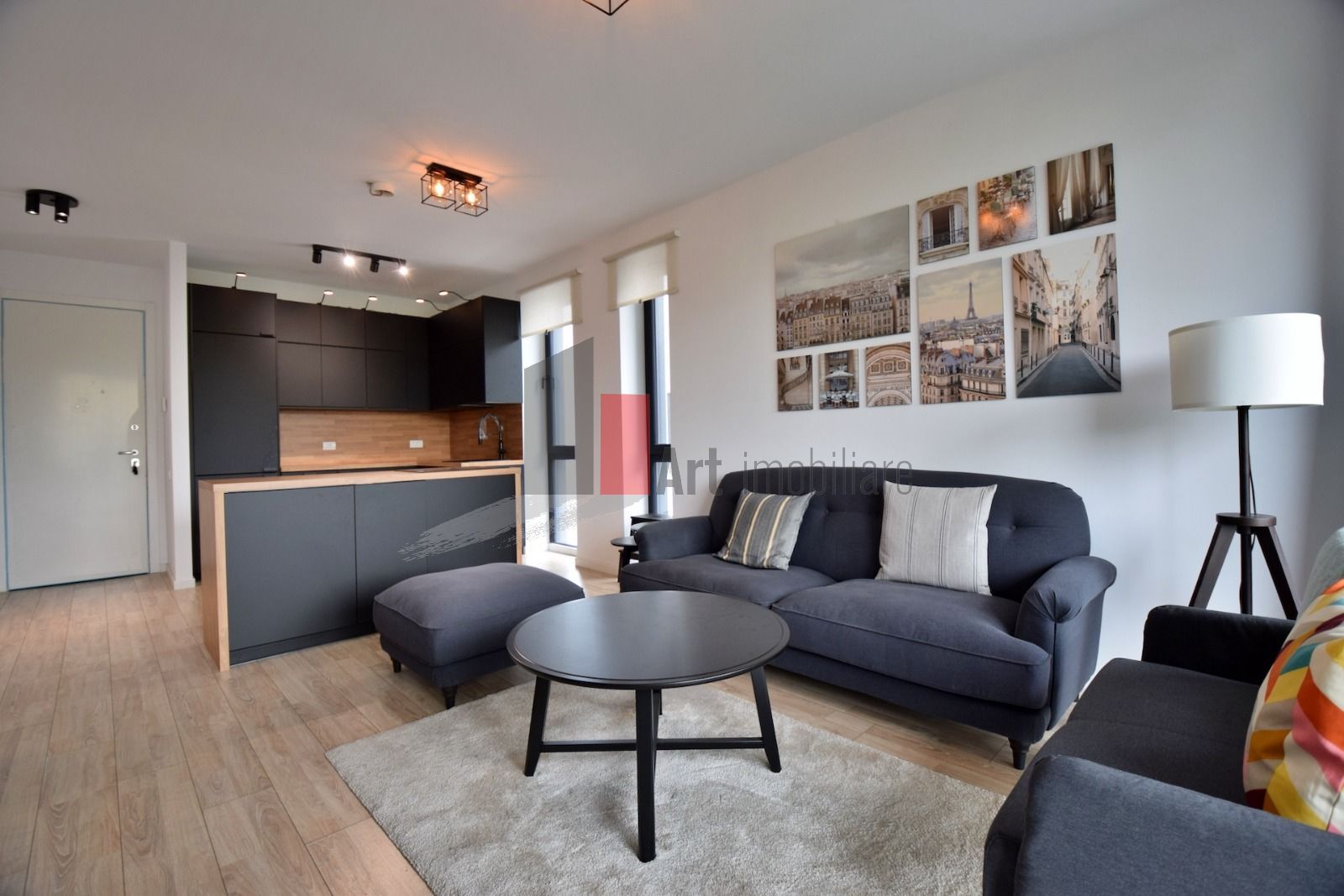 Apartament Herastrau - Poză 3