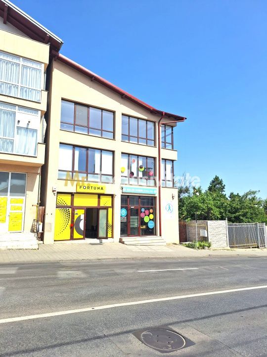 Spatiu Comercial Multifunctional Banat-CLASA A - Poză 1