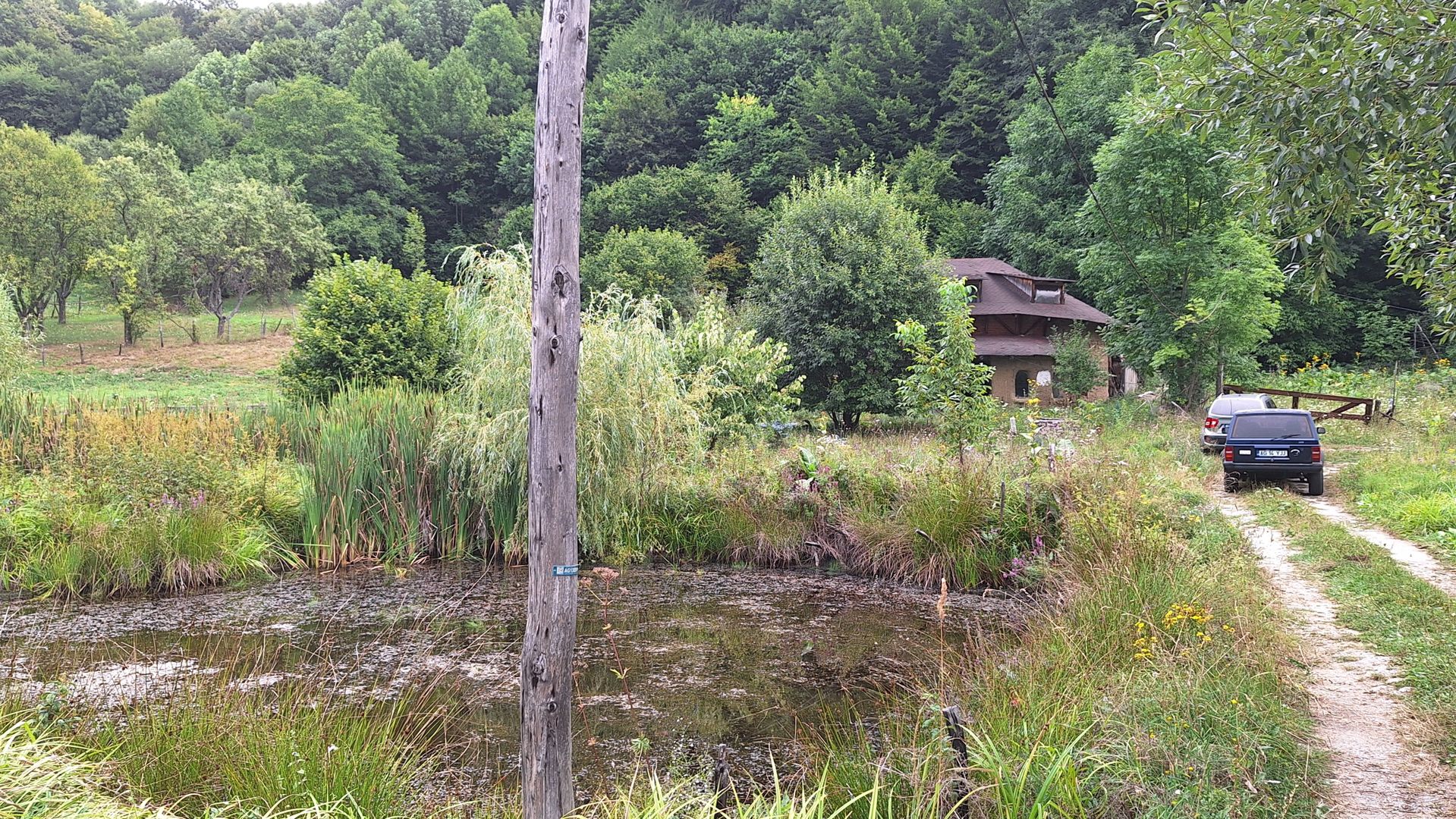 VANZARE ANSAMBLU CASUTE BRADULET ARGES - Poză 1
