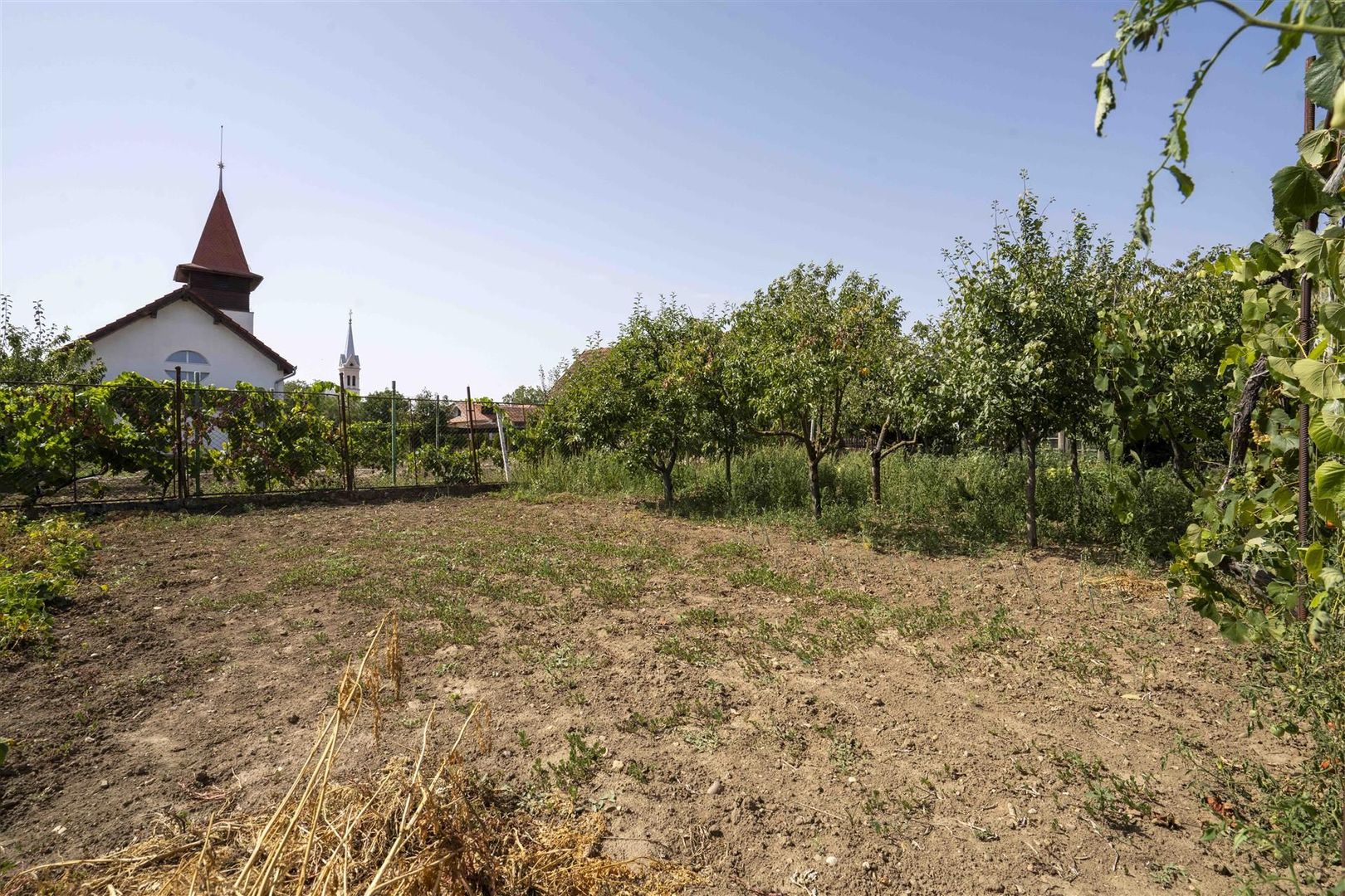 Casa de vanzare D+P+M Tarian - Poză 15