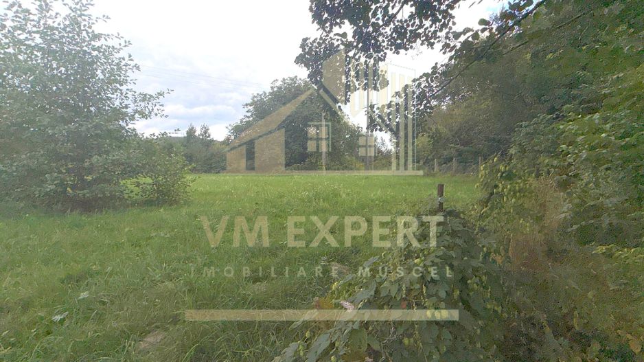 CASĂ 6 CAMERE TEREN 5736 MP LEREȘTI VOINEȘTI ARGEȘ - Poză 25