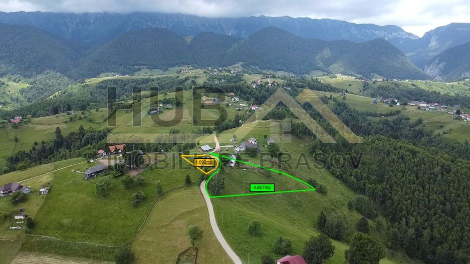 Oportunitate Investitie | Teren Pestera | 4.807mp | Utilitati Gaz/Curent - Poză 5