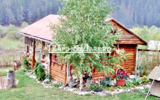 Pensiune functionabila intre Gheorgheni-Lacu Rosu - Poză 3