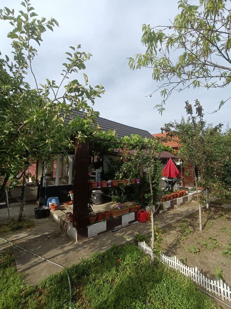 Casă de vanzare cu 4 camere 107 mpu pivnita anexe curte gradina Sebes - Poză 14