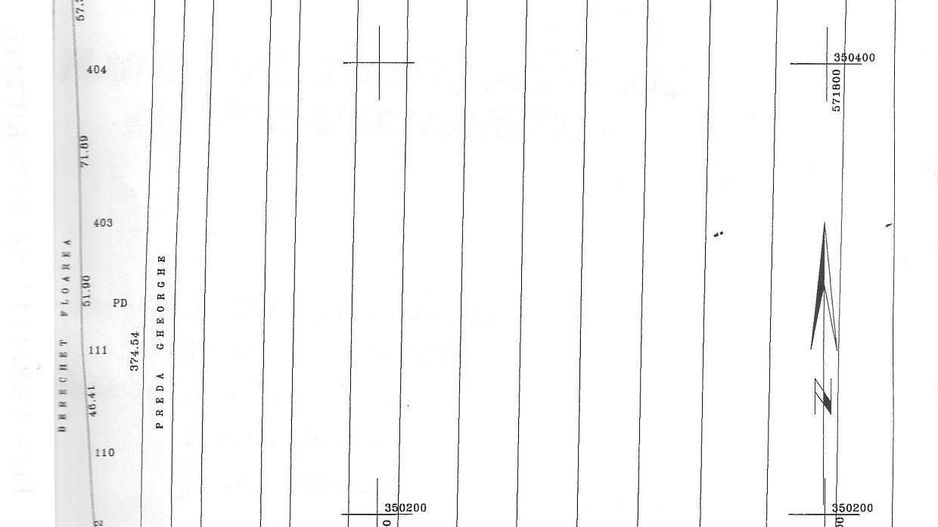 Teren extravilan 10.000 mp - Lucianca - Butimanu - Poză 2