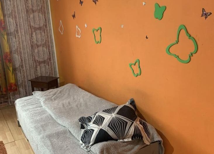 COMISION 0% | Apartament 1 cameră | 24 mp | Zona Ciarda Rosie - Poză 2