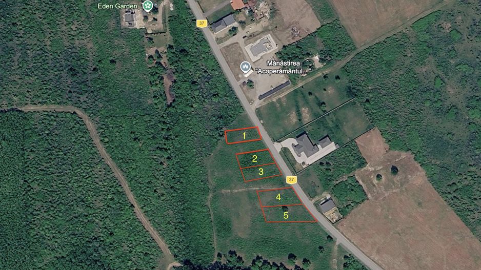 Parcele teren intravilan Paleu - Poză 9