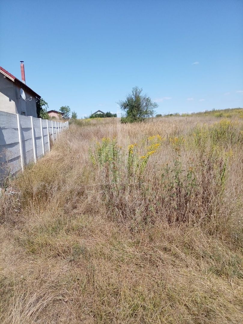 Teren intravilan de vânzare în Avrig | 1.000 mp | PUZ aprobat - Poză 2
