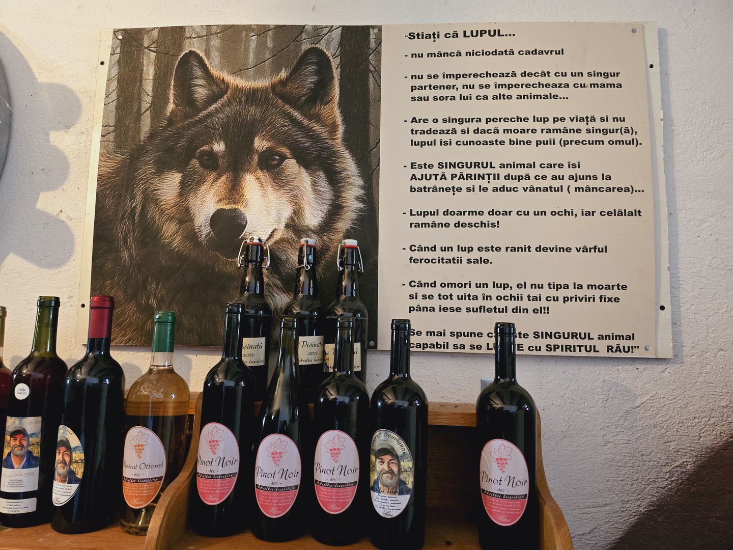 Vie Tradițională „Halta Lupilor” - Poză 14