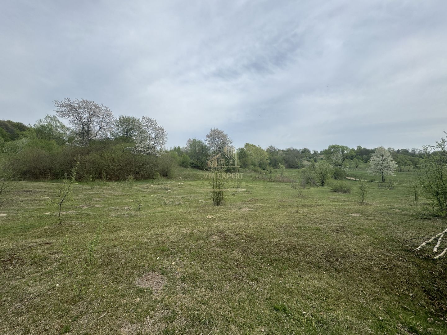 TEREN EXTRAVILAN 40000 MP, ALBESTI DE MUSCEL, CANDESTI - Poză 4