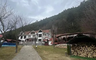 Pensiune de vânzare | 400 MPU | 10 Camere | Rasinari - Curmatura - Poză 34