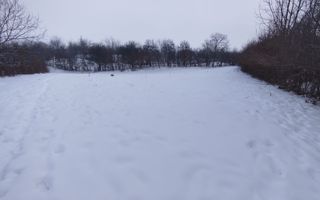 Teren intravilan 2.295 mp, deschidere 60 m – Rășinari, comision 0% - Poză 4