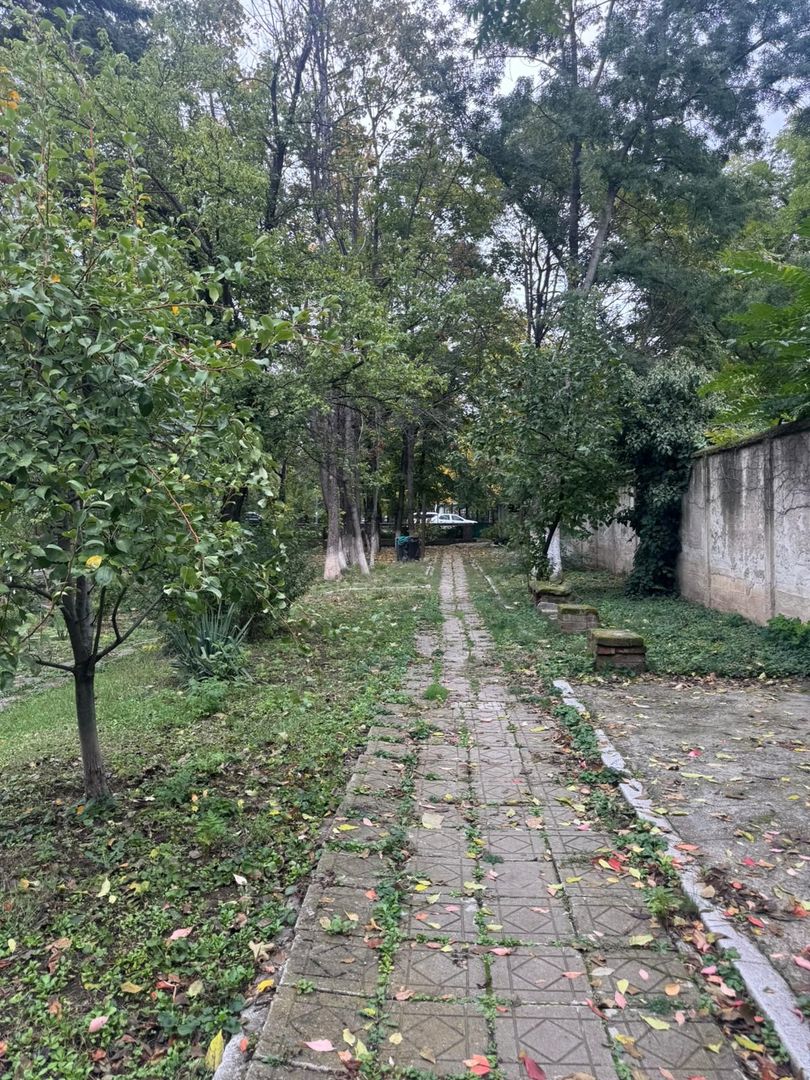3 CAMERE || Kiseleff - Poză 26