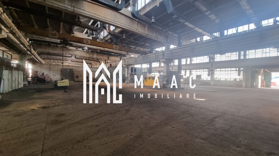 Hala Industriala | 1200MPU | Lazaret - Poză 3