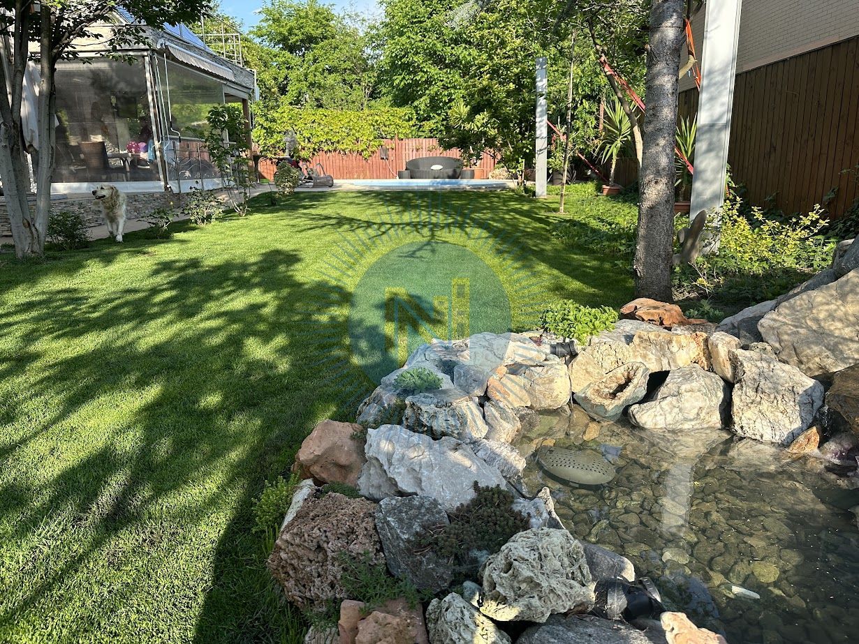 Vila cu piscina British School - Poză 13