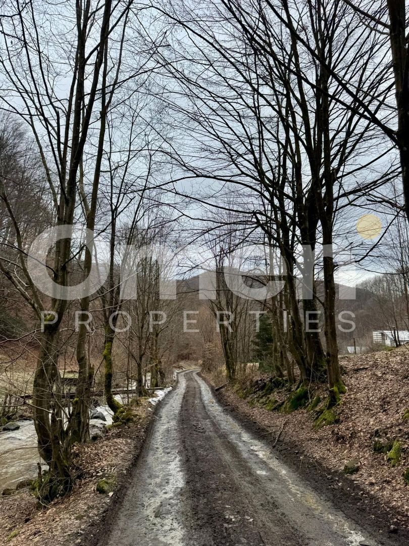 Teren extravilan de vânzare | 1402 mp | Blidari | zonă superbă - Poză 3