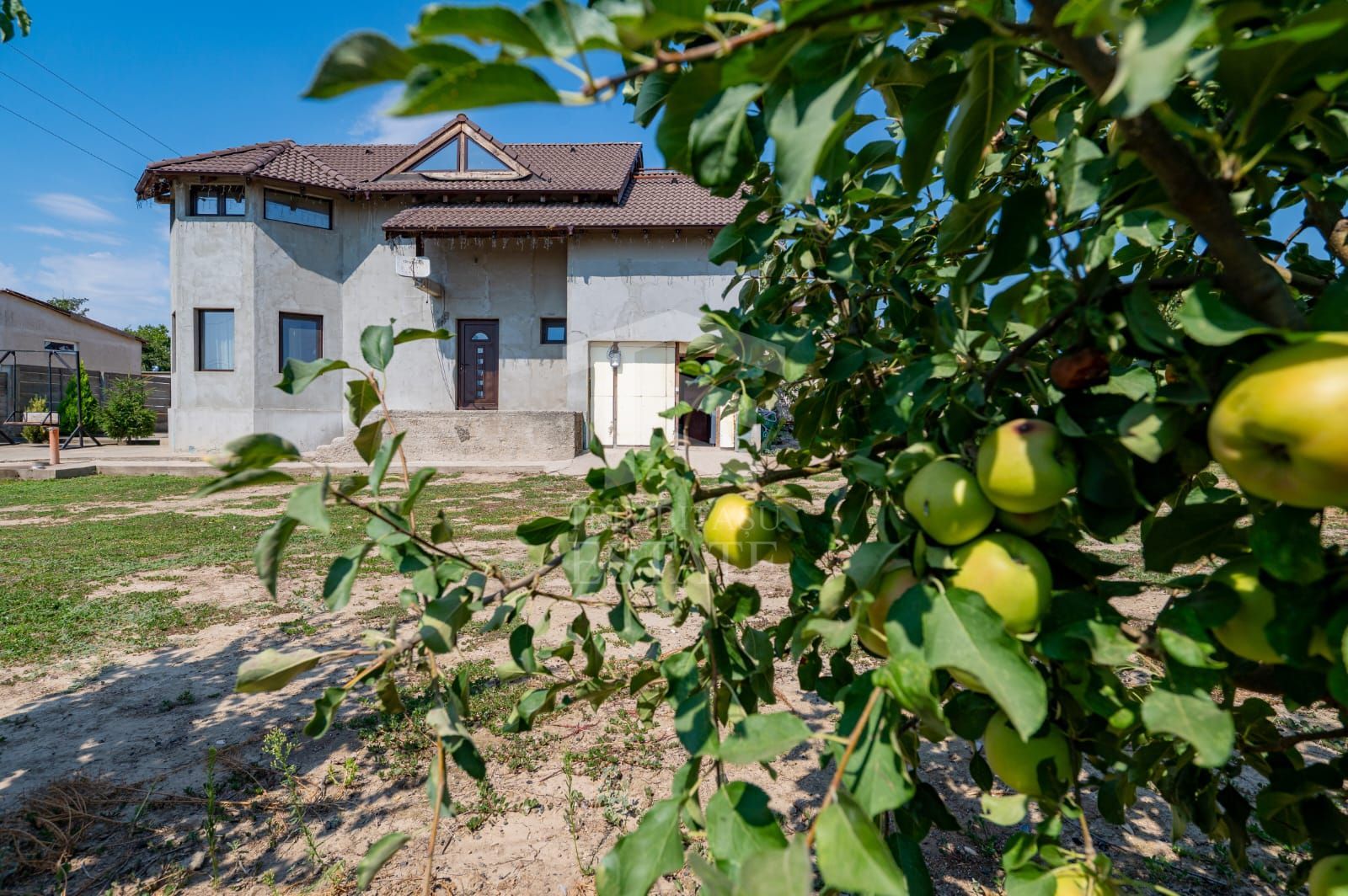 CASA P+M | 5 CAMERE | TEREN 1000 MP - Poză 2