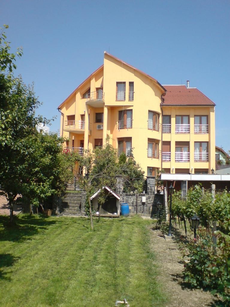 ageuropa.ro vinde casa 16 camere teren 1500mp in zona ULTRACENTRALA. - Poză 3