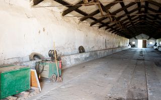 Spațiu depozitare 734mp și teren de 7.844mp Macea - Poză 3