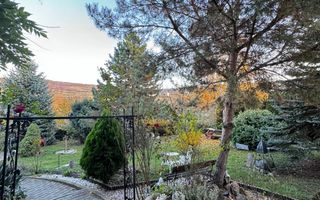 Casa individuala cu 5 camere si gradina in Colonia Sopor - Poză 20