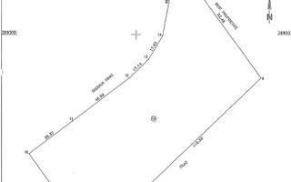 Terenuri intravilane de vânzare în proximitatea Vămii Giurgiu - Poză 1