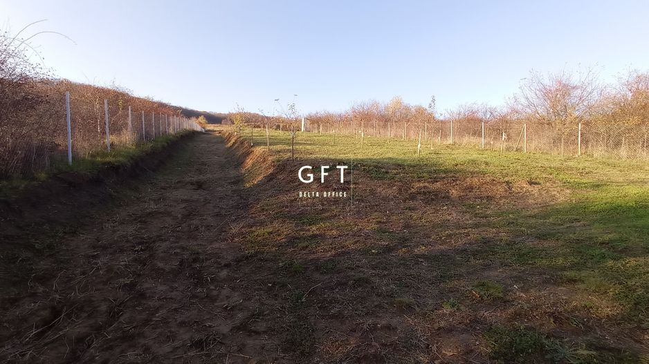 Teren Viisoara 27 ari - Poză 5