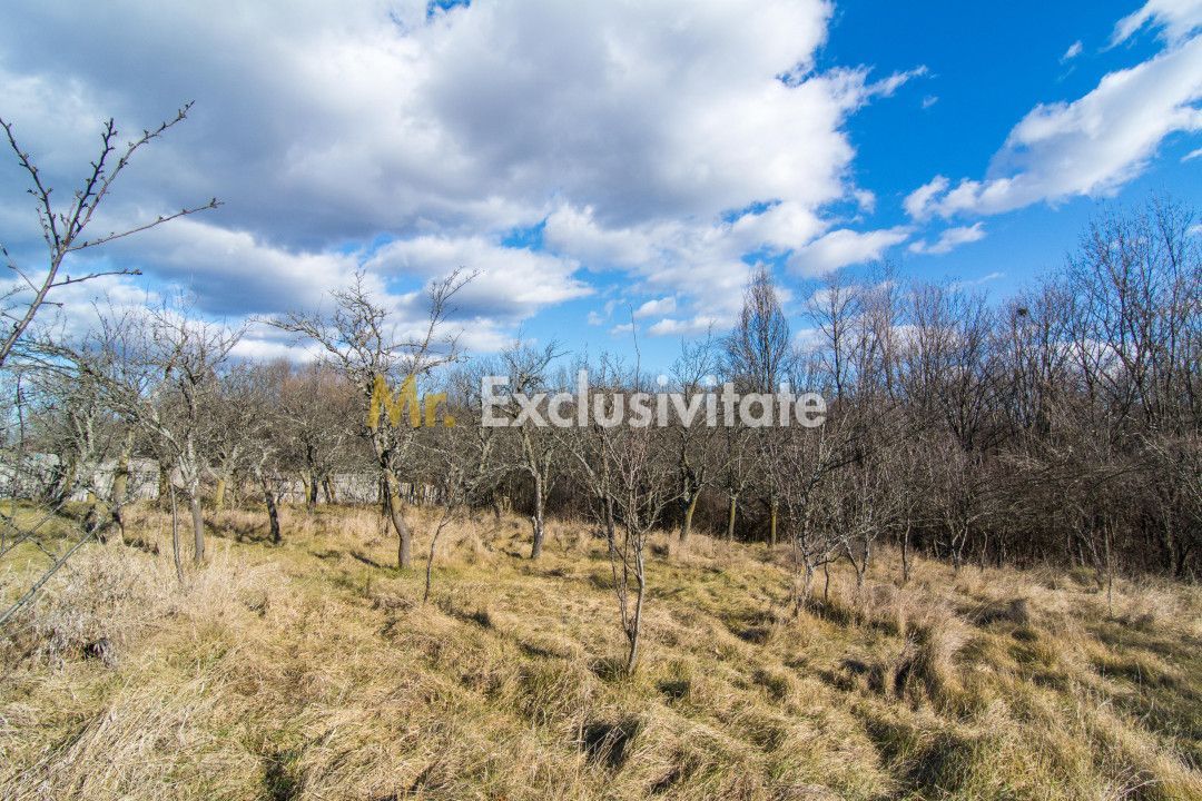 Casa traditionala argeseana – comuna Vedea, jud. Arges - Poză 6