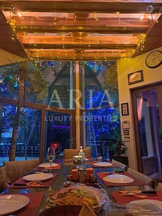 Vila grandioasa, Gradina Japoneza, SPA, Crama, Teren Tenis, Foisor, Iaz Pesti - Poză 9