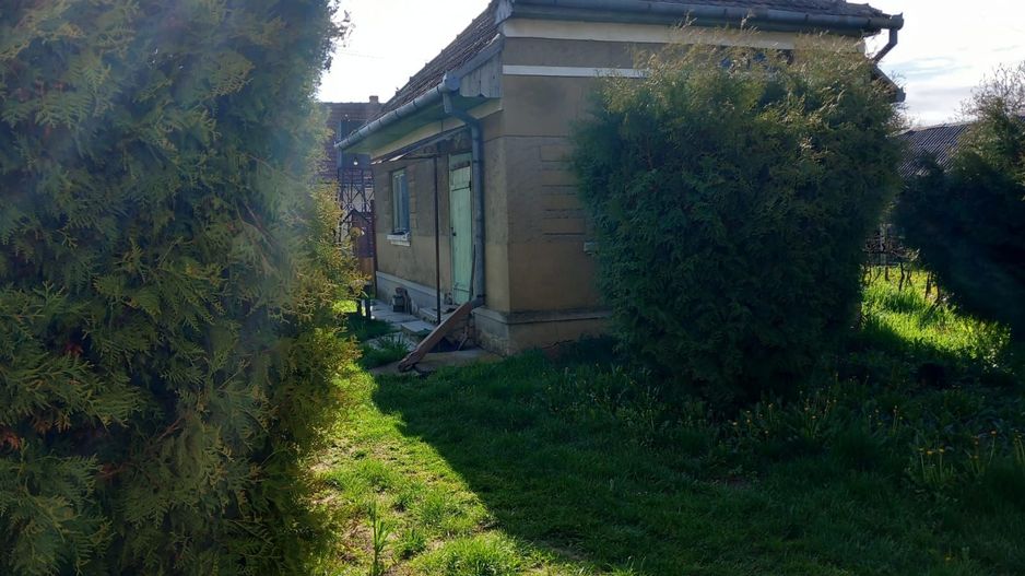 Ag EUROPA vinde casa cu 4 camere si teren de 60 ari in Ambud. - Poză 8