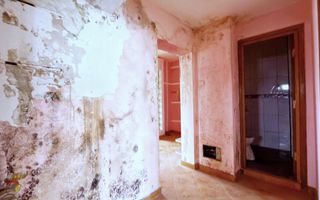 Apartament 3 camere Colentina Doamna Ghica - Poză 19