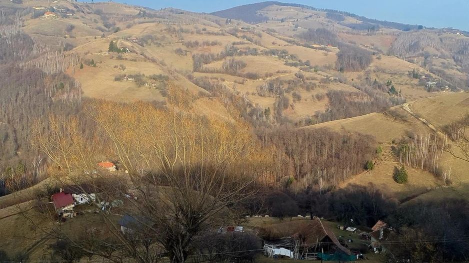 Oaza de liniste si frumusete, reconectare cu natura, 16.000 mp, Poiana Marului - Poză 13