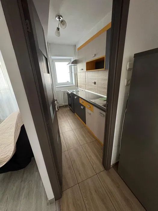 Garsoniera - Ion Mihalache - Poză 3