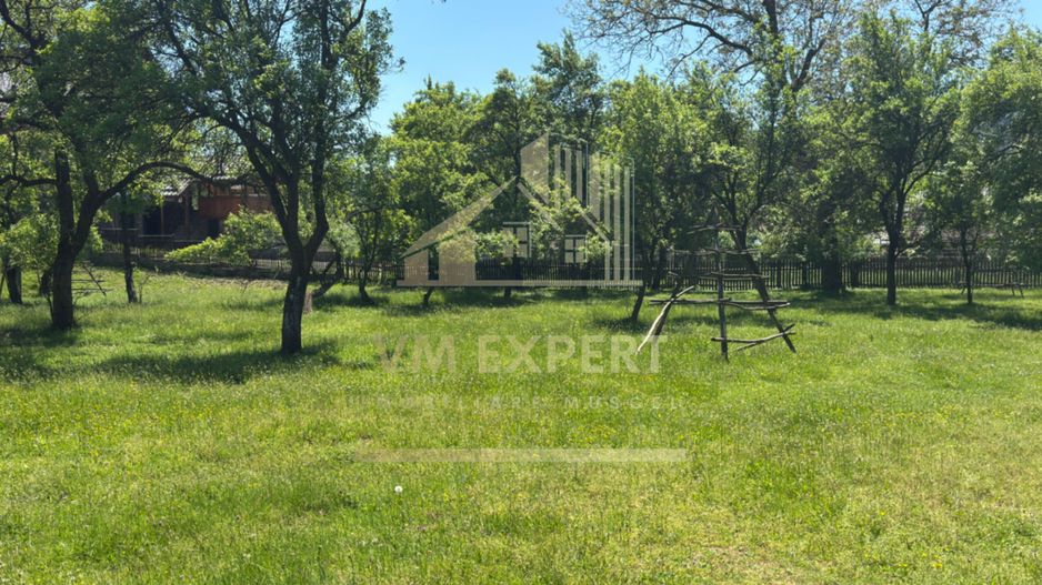 TEREN INTRAVILAN 3477 MP STOENEȘTI BĂDENI ARGEȘ - Poză 4