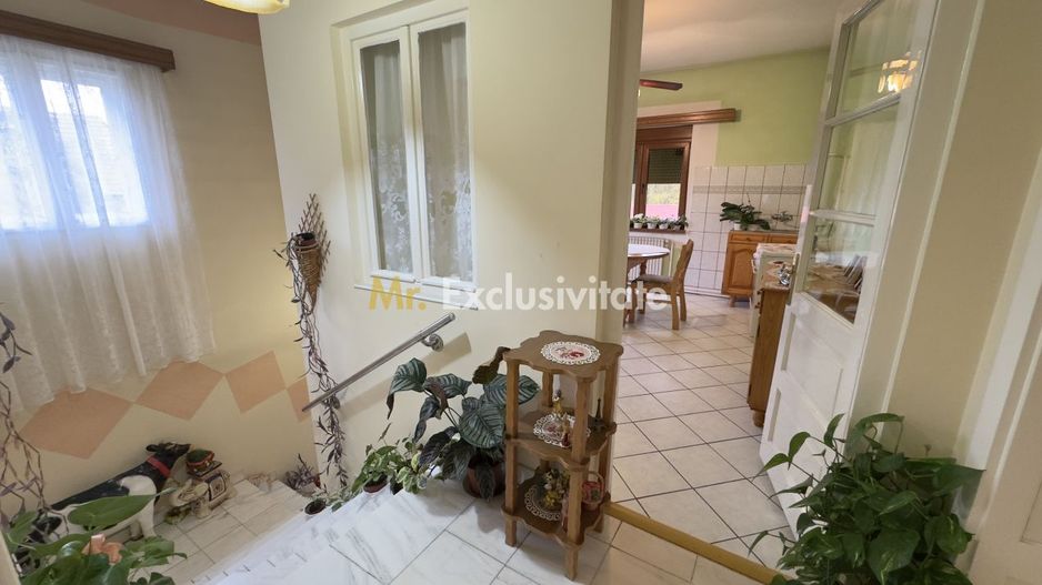 Casă 7 camere cu Teren 4.620 mp | Potențial pentru rezidență sau afacere | Carei - Poză 21