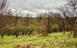 Casa de vanzare  in Talmacel-Teren 4000 mp cu livada+garaj - Poză 16