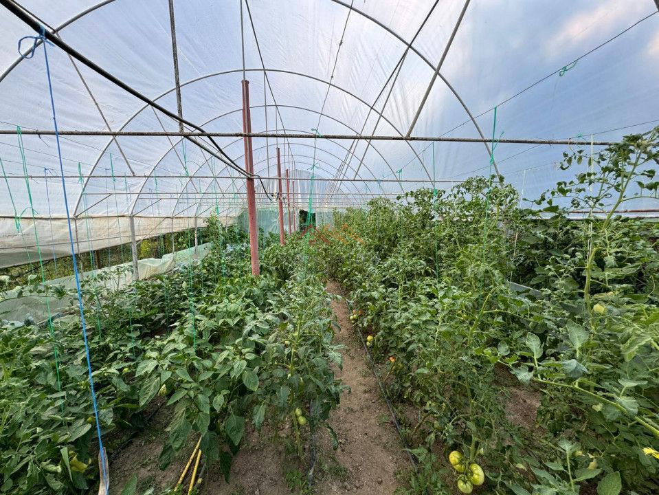 Casa 4 camere, anexe, recent renovata, foisor, teren 781mp, Izvoru, DB - Poză 12